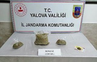 Otobüsle uyuşturucu nakline jandarma engeli