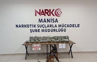 Otobüsün bagajında 10 kilodan fazla bonzai ele...