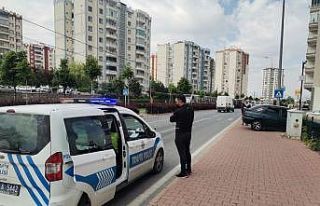 Otomobil bahçeye girdi