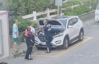 Otomobil kaputuna sıkışan yavru kediyi itfaiye...