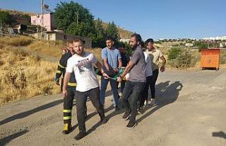 Otomobil şarampole yuvarlandı: 1 yaralı
