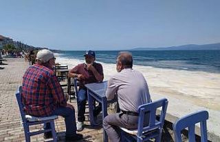 (Özel) Bursa’da müsilaj manzaralı sahil keyfi