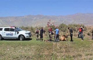 (ÖZEL) Erzincan’da, bataklığa saplanan inek kurtarıldı