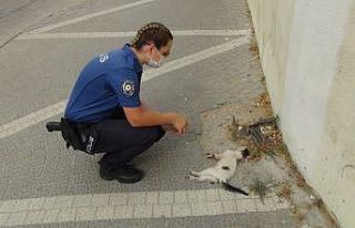 (ÖZEL) Kadın polis, bir aracın çarpıp kaçtığı...