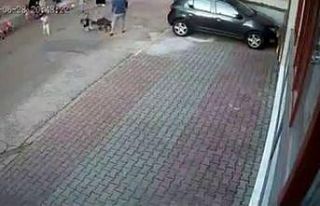 (Özel) Kartal’da 9 yaşındaki çocuğa pitbull’un...