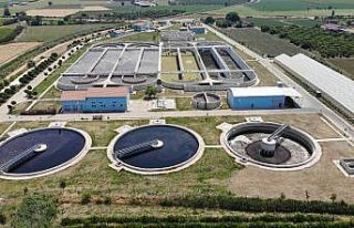 (Özel) Manisa, Ege’de deniz salyası olmasın diye...