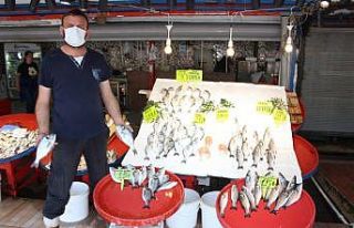 (ÖZEL)Müsilaj Balıkçı esnafını etkiledi
