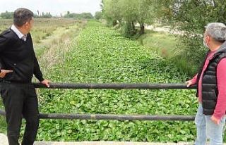 (ÖZEL) Nilüfer Vadisi turizme kazandırılmayı...