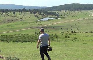 (ÖZEL) Oksijen deposu Ketanova Yaylası