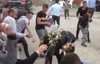 (ÖZEL) Pandemi bile bu düğün geleneğini unutturmadı
