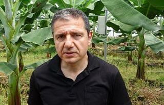 (Özel) Prof. Dr. Sert: “Muz seraları toprağı...