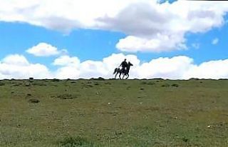 (Özel) Savaşa gider gibi at sırtında sopalarla...
