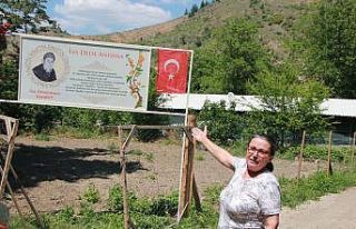 (ÖZEL) Tek fidan köyün geçim kaynağı oldu