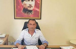 Palet üreticileri, tomruk fiyatları ve ham madde...