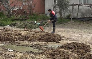 Pamukkale’de besihaneciler ilaçlama hizmetinden...