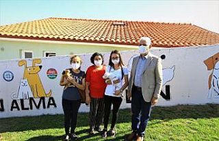 Pandemide can dostlara ilgi arttı