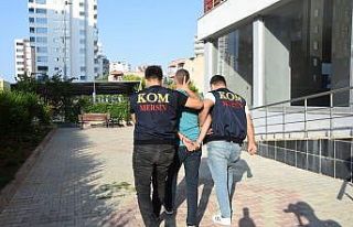 Paravan şirketler kurarak kamuyu milyonlarca lira...