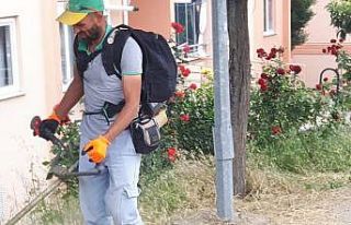 Park ve bahçelerdeki yabani otlar temizleniyor