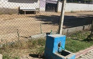 Parktan evine hortumla şu çeken şahıs yakalandı