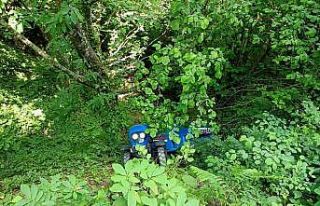 Pat pat uçurumdan yuvarlandı: 2 yaralı