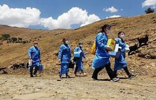 Patika yolları aşan sağlıkçılar, berivanlara...