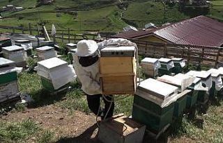 Petekler Anzer Yaylası yolunda