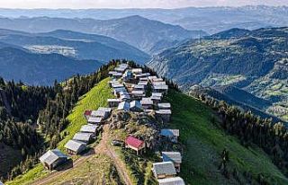 Pokut değil Boselta