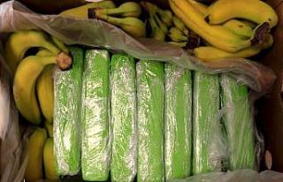 Polonya’da muz kolilerinden 160 kilogram kokain...