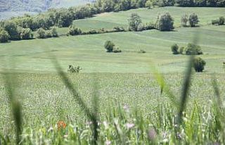 Prof. Dr. Orman: “Toprak, gıdanın sigortasıdır”