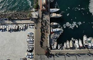 Prof. Dr. Yiğit: “Canlı avladığınız ya da...