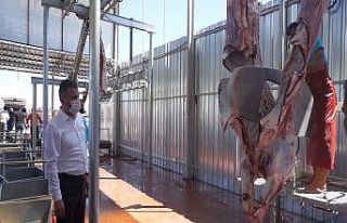 Pursaklar Kurban Bayramı’na hazır