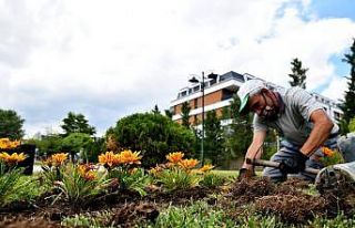 Rengarenk çiçekler Tepebaşı’nı süslüyor