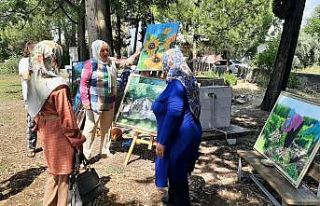 Resim öğretmeni olmak istiyordu, ressam oldu köyde...