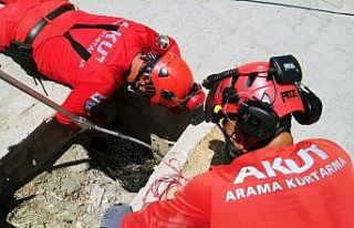 Rögara düşen yavru kediyi Kuşadası AKUT ekibi...