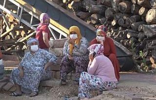 Sabah işe başladığı kereste işletmesinde akşam...