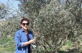 Sağlıklı bireyler için doğal beslenmeyi seçin