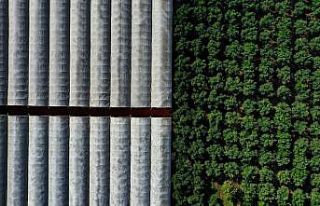 Sağlıklı Çevre Temiz Antalya Fotoğraf Yarışması...