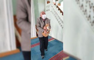 Saimbeyli’de cami görevlileri ve cemaat sokak hayvanlarına...