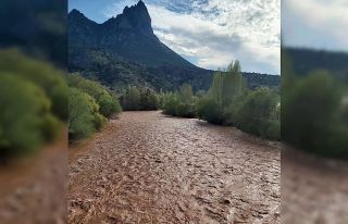Sakarya nehri kızıla boyandı
