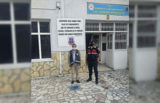 Salep soğanı toplayan 1 kişiye 83 bin 938 lira...