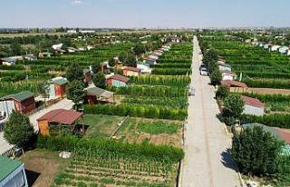 Salgın sürecinin stresini Meram Belediyesi Hobi...