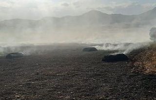 Saman balyaları yanarak küle döndü