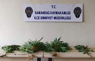 Samandağ’da uyuşturucu operasyonu: 2 gözaltı
