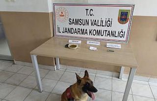 Samsun’a uyuşturucu sevkiyatı jandarmaya takıldı