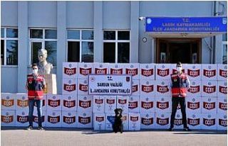 Samsun’da kaçak makaron operasyonu: 33 gözaltı