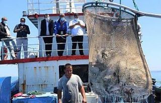 Samsun’da ‘Türk somonu’ hasadı