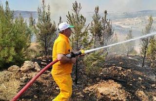 Şanlıurfa’da orman yangını