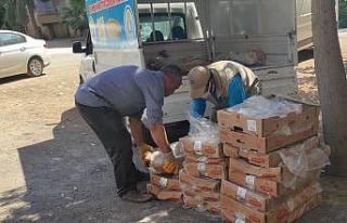 Şanlıurfa’da son kullanma tarihi geçmiş 250...