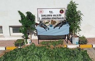 Şanlıurfa’da uyuşturucu operasyonu: 3 tutuklama