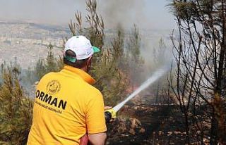Şanlıurfa’daki orman yangını kontrol altına...